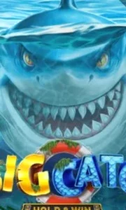 A Big Catch - Hold & Win
